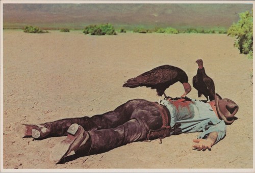 End of The Trail Dead Man Vultures Adrian Atwater Desert postcard RK3