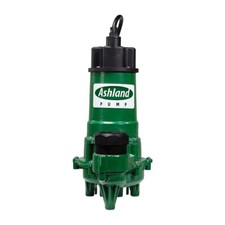 Ashland 1/2 H.P. Effluent Pump