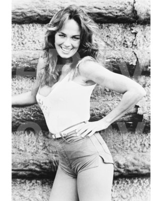 Shérif, Fais-moi Peur Télévision Hazzard Catherine Bach ''Marguerite Duc'' 10x8