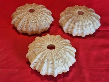 3 ANCIENS ABAT JOUR LAMPE LUSTRE TULIPE VERRE Vintage 