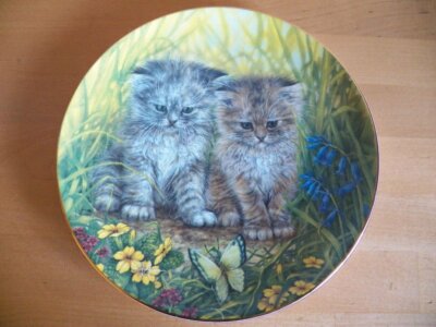 Katze Sammelteller Katzen Kleine Schurken-Diese Blume hat sich gerade bewegt