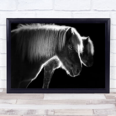 Zwei schöne Pferde Pferdemähne Tier Tiere dunkel Wandkunstdruck