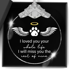 Christmas Ornaments Pet Memorial Glass Ornaments Sympathy Gift for Loss of Do...