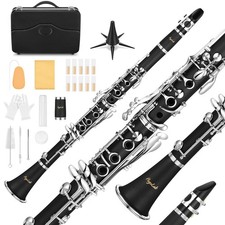 B Flat Clarinet, 17 Keys, ABS Material, Nickel-plated, with Carrying Case, St...