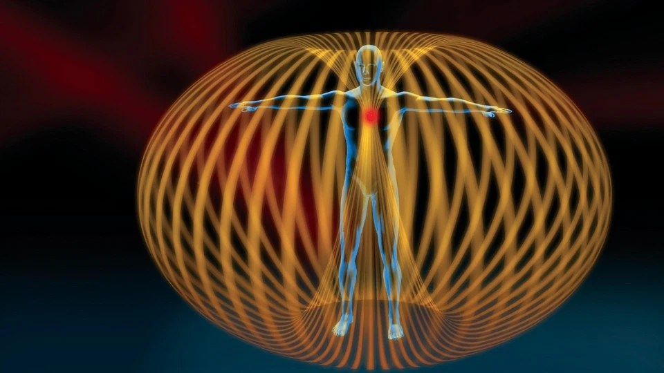 The Living Matrix (DVD) - ACC0209 - Image 3 of 4