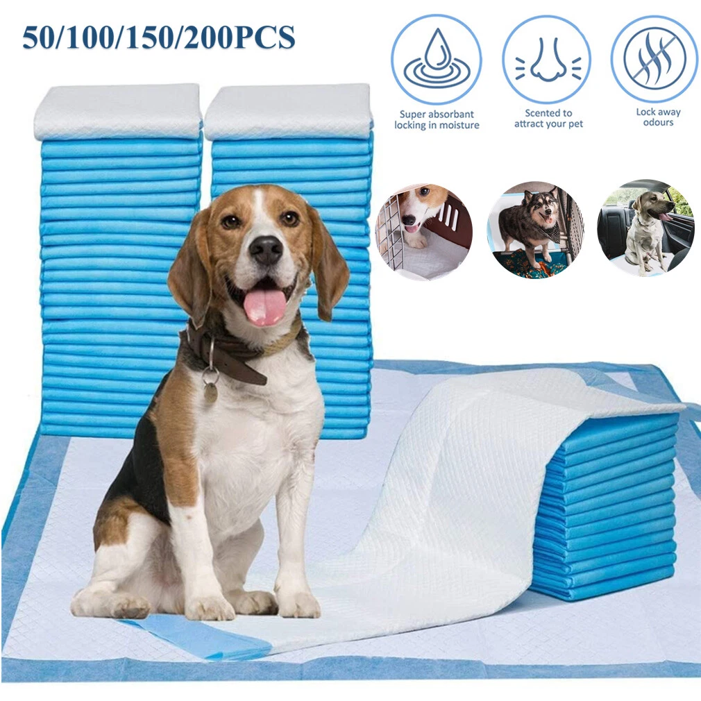 Training pad best sale