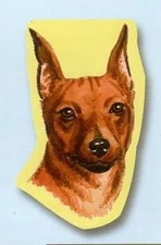 Miniature Pinscher Sticky Notes Notebook