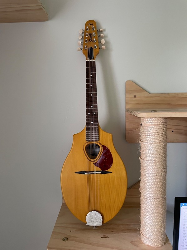 Seagull S8 Natural Wood Mandolin + Soft Shell Case