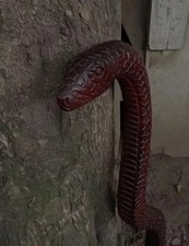 Wooden walking stick hand carved cobra snake handmade walking cane animal