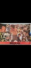 2 Bruce Lee collage Posters 27 ½ x 38” & 22 ½ x 34 ½ “.  All Sales Are Final t1 — photo 2