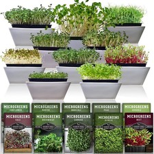 Microgreen Seeds Variety Pack   10 Heirloom Types for Indoor Sprouting   Bro