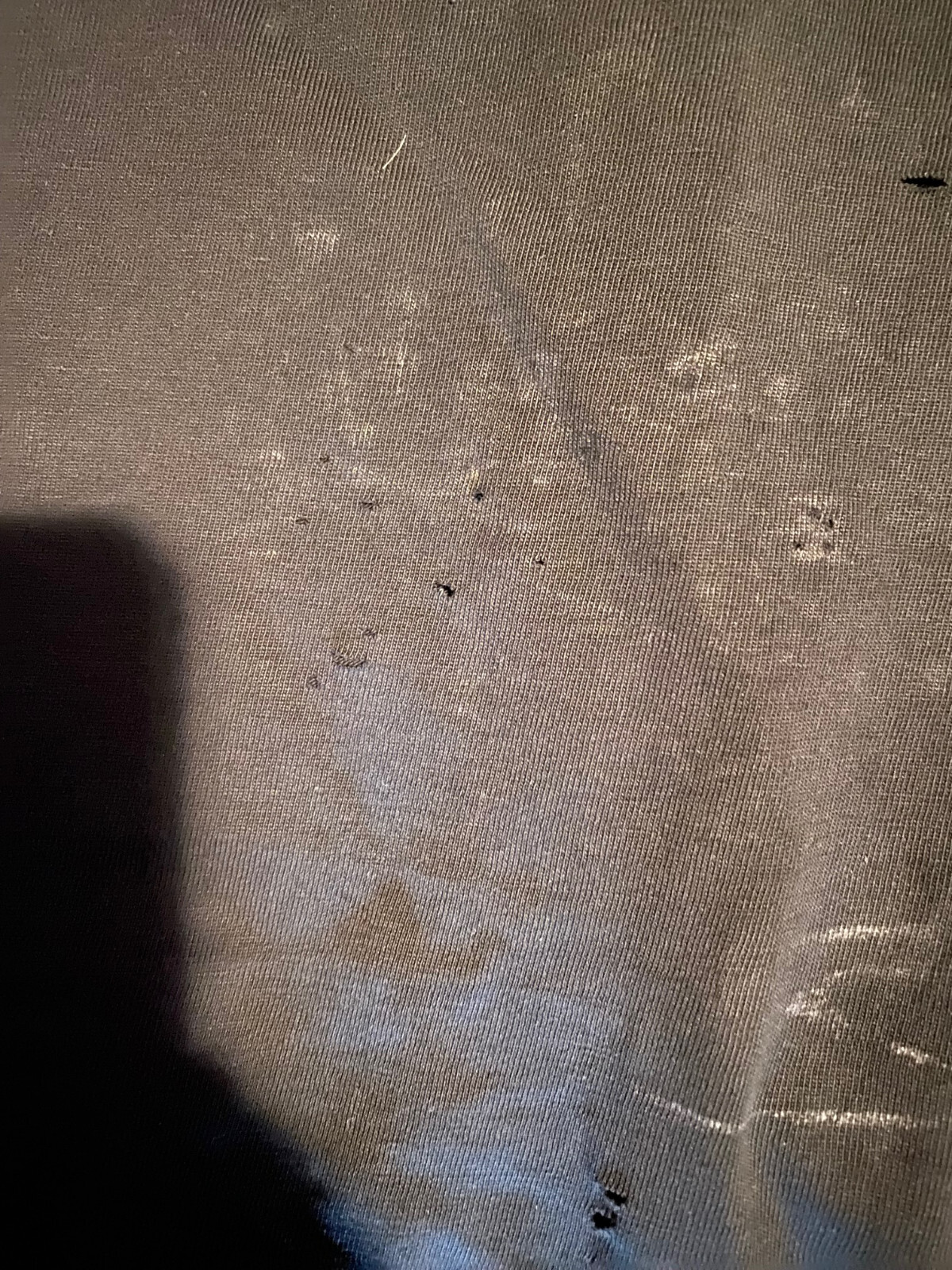Picture 5 of 6