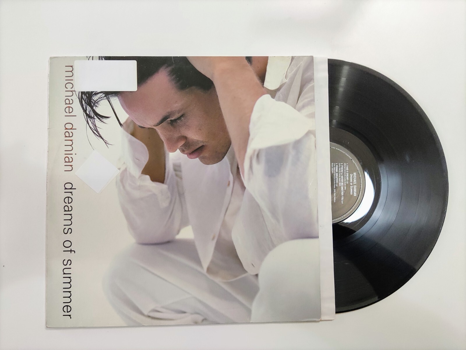 Michael Damian ‎– Dreams Of Summer VINYL 33 RUNDEN 12" A&M Records ‎– 395 348-1 