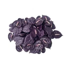 60 PCS Small Anthurium 2 cm Clay Beads for Jewelry Making DIY Craft Supplies