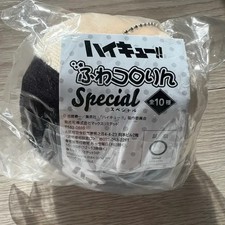 Tskishima Fuwako Unopened Doll with No Box