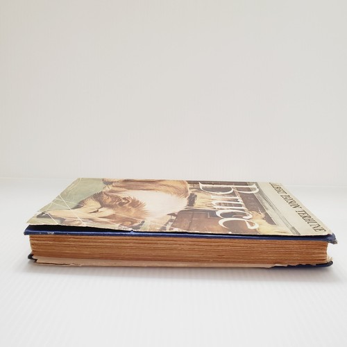 Bruce von Albert Payson Terhune Grosset & Dunlap Vintage Hardcover Buch - Bild 18 von 20