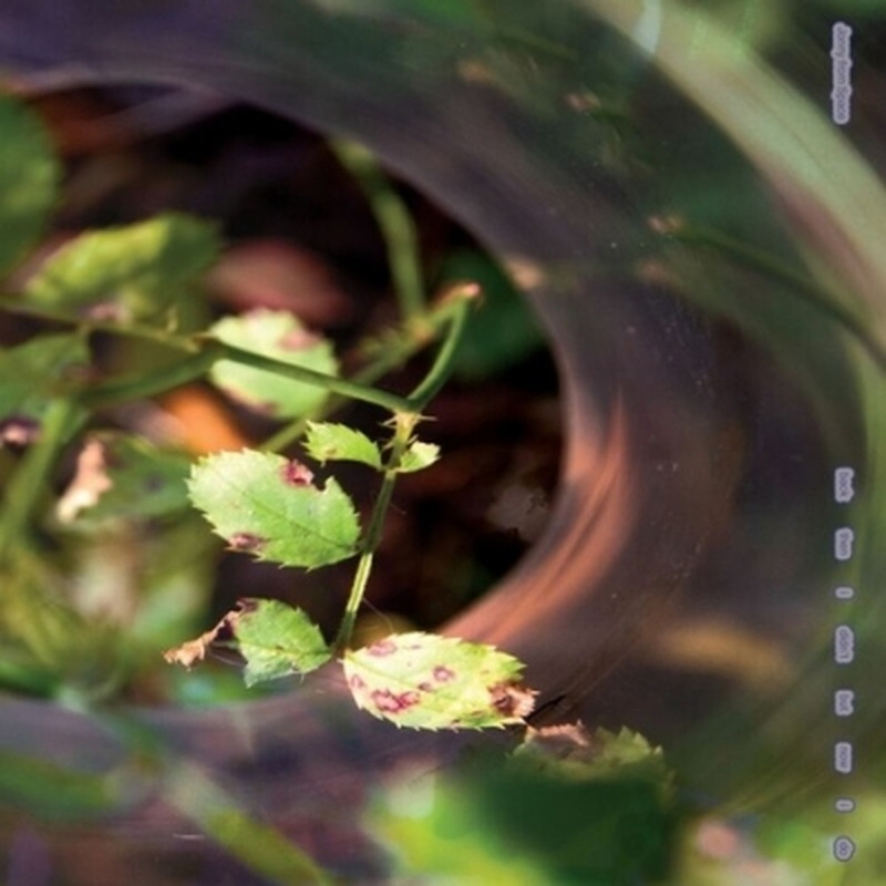 Джонни из Космоса/Тогда я этого не делал, Но Сейчас Я записываю 26 Новых пластинок