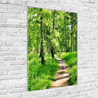Wandbild Druck auf Plexiglas  Acryl Hochformat 70x100 Birkenwald