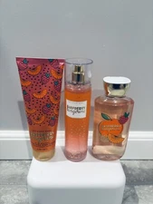 Bath & Body Works Raspberry Tangerine Body Cream, Fragrance Mist & Shower Gel