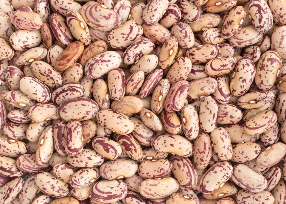 Pinto Beans Dry Frijoles Pintos *оптовые лоты размера* 1 3 5 10 20+ фунтов кладовая без ГМО - Изображение 3 из 3