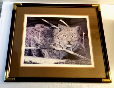 Randy Fehr Art Print Hand Signed ''Still of the Night Canada LYNX'' Framed 30x26
