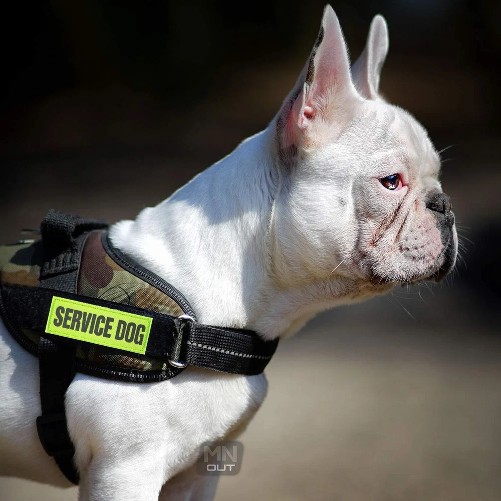 Dog Harness Patch Hook & Loop Canine K9 Vest Warning Badge Tactical Pet Labels