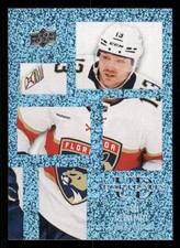 2024-25 Upper Deck UD Portraits Speckled #P17 Sam Reinhart