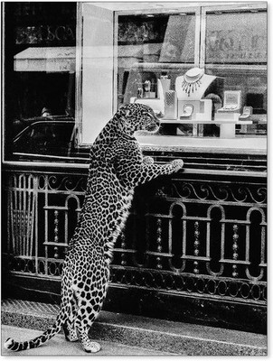 Vintage Retro Leopard Shopping   Black and White Fashion and Jewelry Art Poster