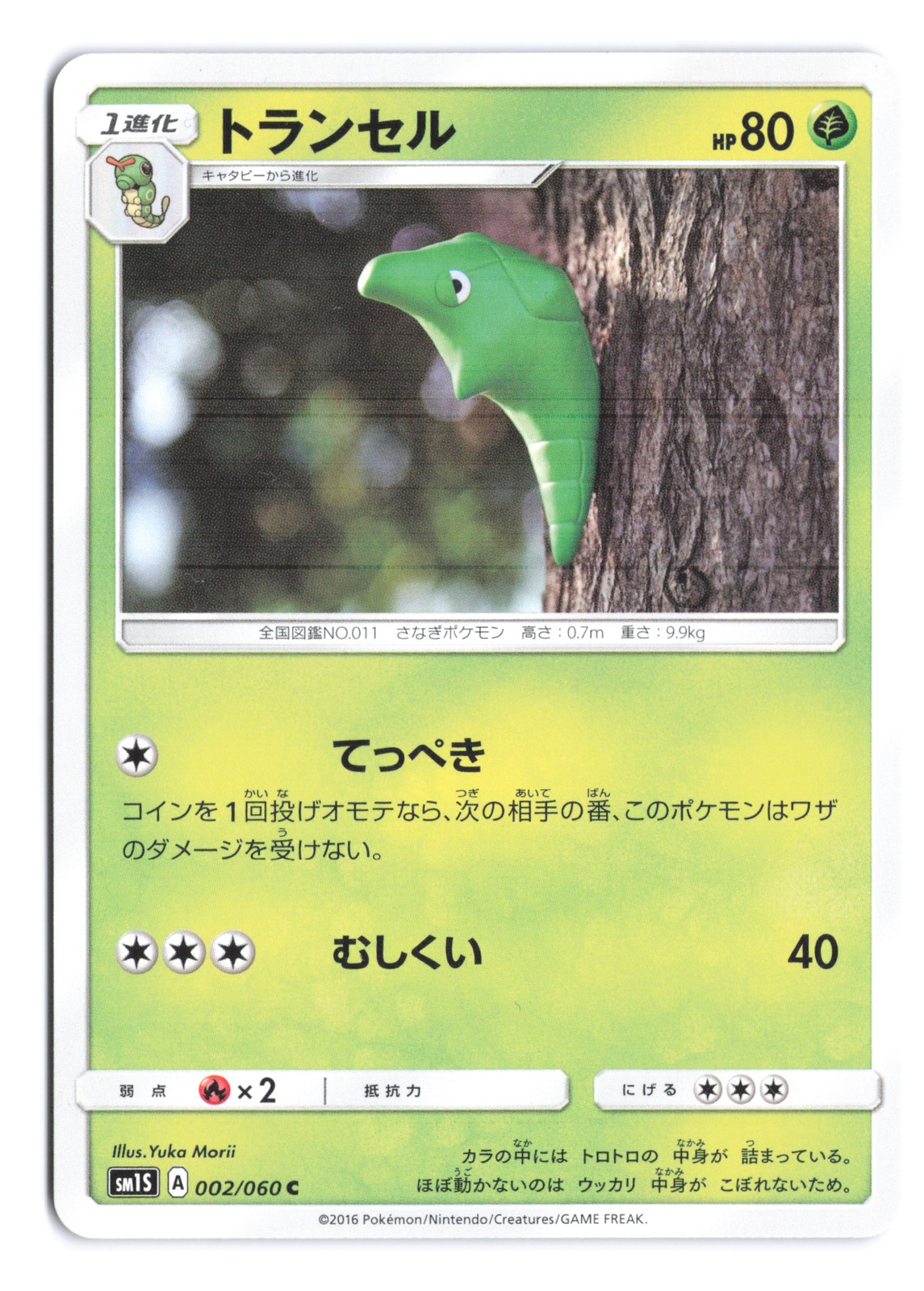 Pokemon Metapod SM1S: Collection Sun 002/060 Japanese