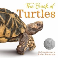 Sy Montgomery - Book Of Turtles - Hardback - G245Z