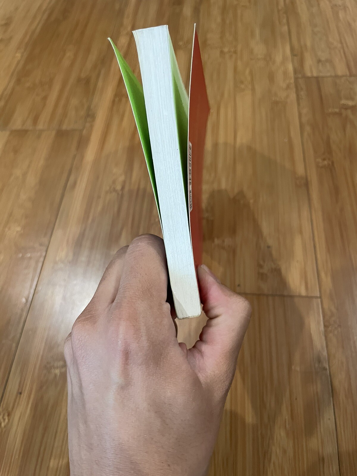 The Unknown Masterpiece by Honore de Balzac NYRB French Literature eBay