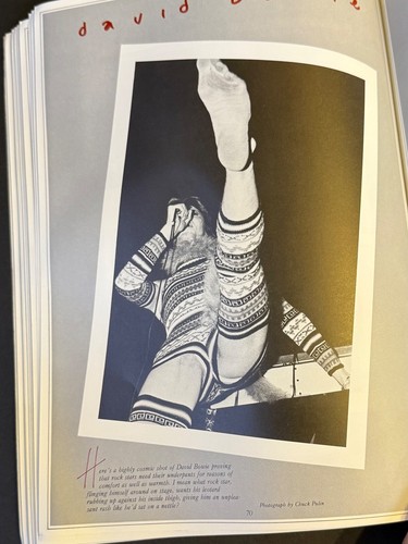 ROCK STARS IN THEIR UNDERPANTS Paula Yates RARE BOOK 1980 UK Zappa Van Halen... - Picture 8 of 9