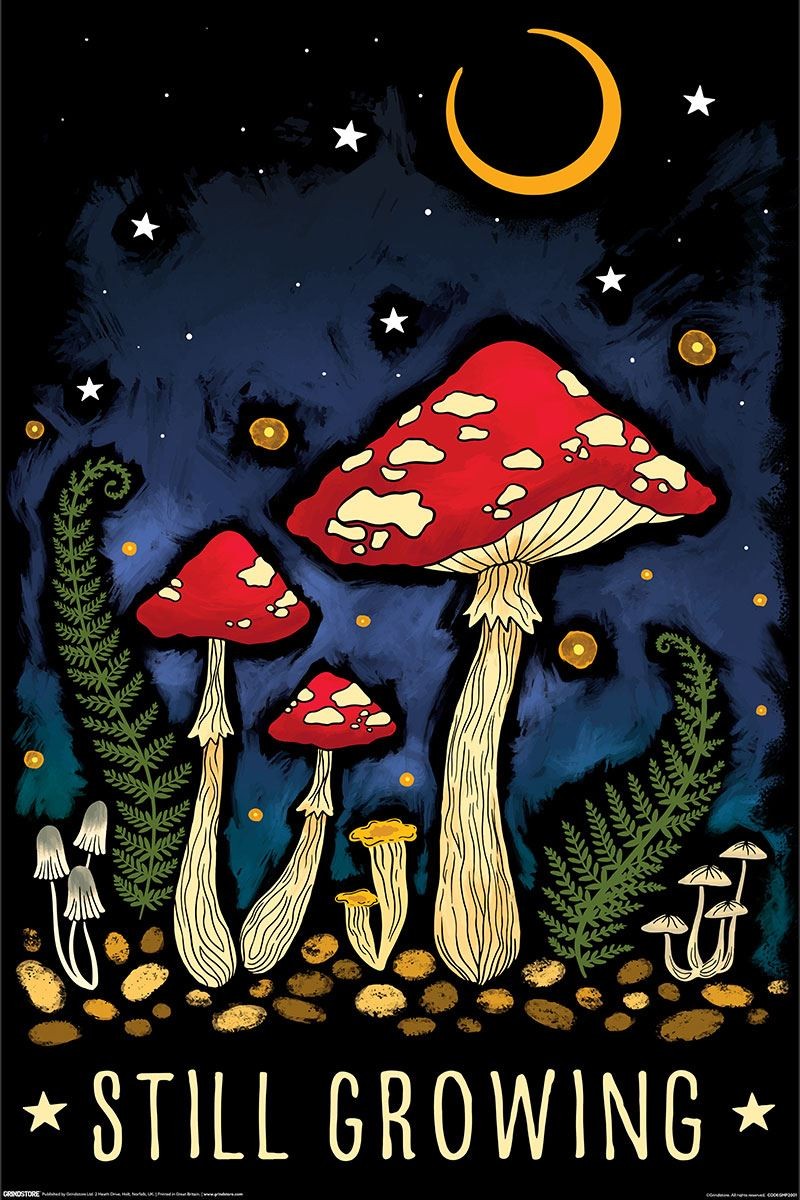 Magical Mushroom Still Growing Maxi Poster - Laminated
