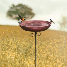 Food Water Bowl Feeder Tray Drinking Wildbirds Balcony Outside Iron Birdbath