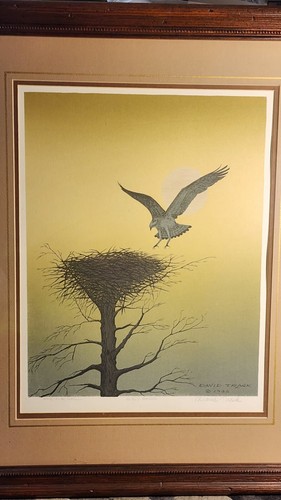 David TRASK PRINT SIGNED,NUMBERED, wood FRAMED " PRIMEVAL" 1985 #33/950