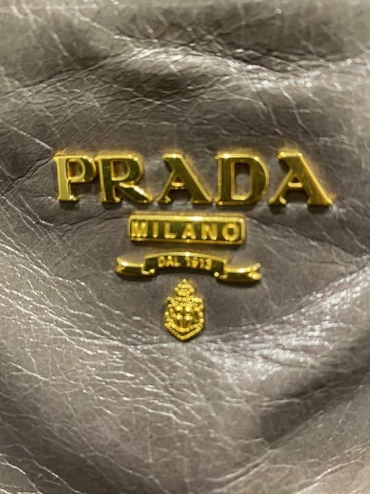 Prada store dinosaur bag
