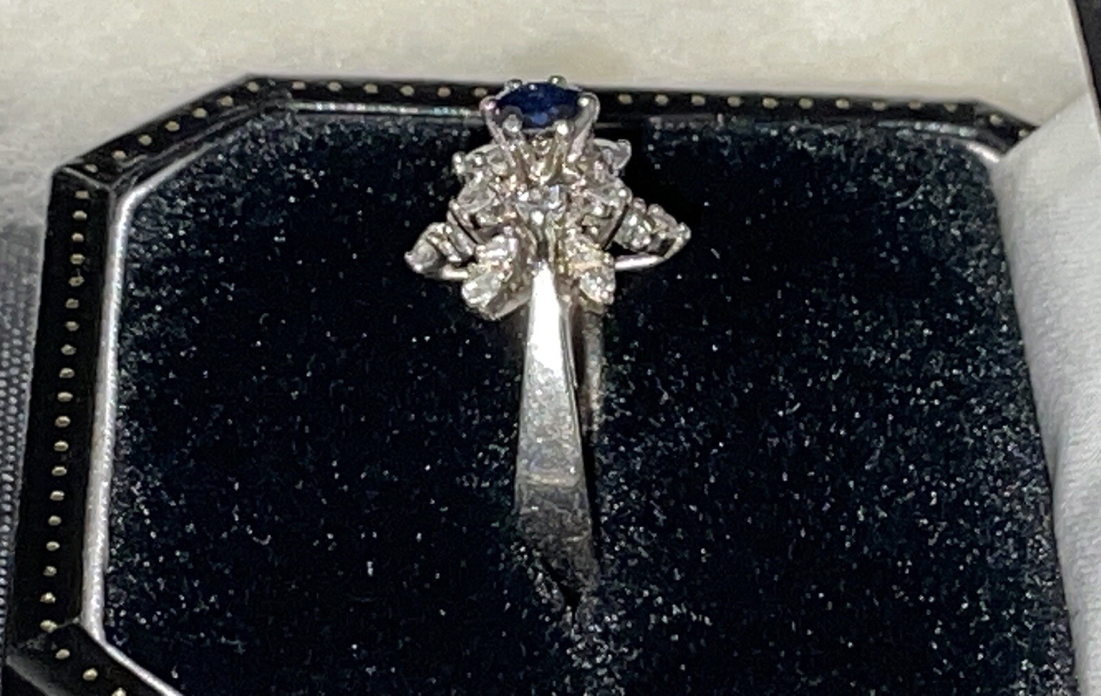Picture 5 of 12