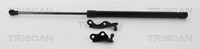 Heckklappen DäMpfer Gasfeder Kofferraum Triscan 8710 13287 FüR Toyota Yaris