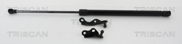 Heckklappen DäMpfer Gasfeder Kofferraum Triscan 8710 13287 FüR Toyota Yaris-image