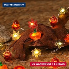 Fall Decor Lights 10Ft 30 LEDs Thanksgiving Decoration Battery Operated Acorn 3D