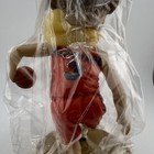 Bild 8 von 8