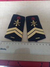 PAIRE DE FOURREAUX. Sergent+ 5 Ans .  Infanterie 