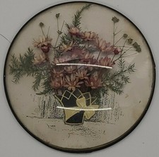 Convex Glass Circle Dried Flower Wall Hanging