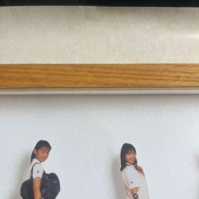 Album Club Saintpaulia Jogakuin poster Sega Saturn #4f3d24