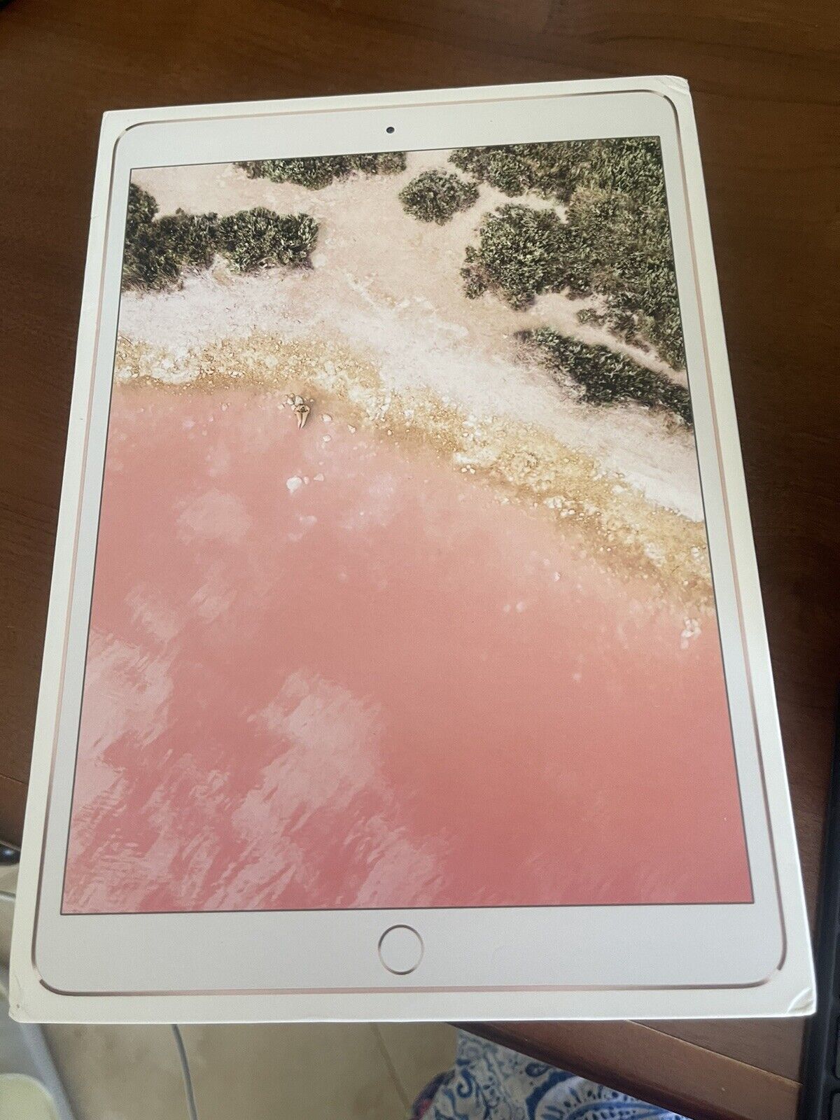 Apple iPad Pro 1st Gen. 256GB, Wi-Fi, 10.5 in - Rose Gold for sale