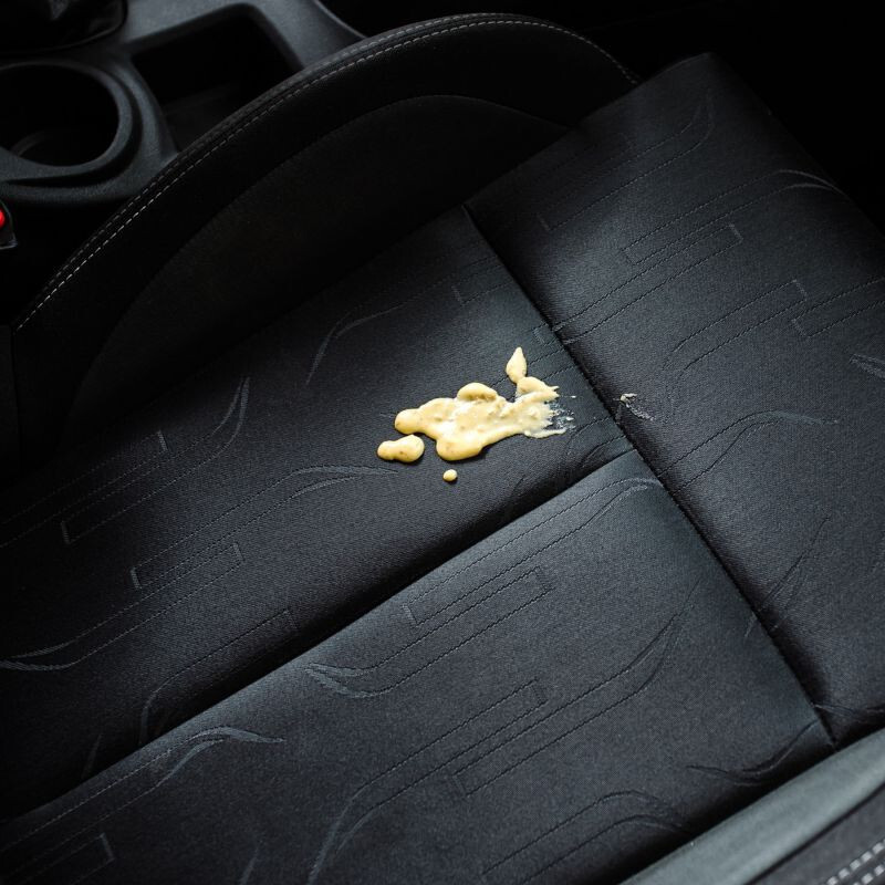 HG Detergente Per Moquette, Tappeti, Cuscini Del Divano, Mobili, Tende Per Interni Ed Esterni, Tappezzeria E Tessuti, Rimuove Lo Sporco In Modo Rapido, 1 L (151100108 - Foto 7