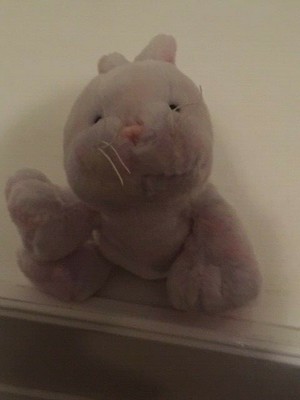 webkinz sherbet bunny