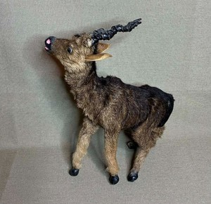 Vintage Miniature Taxidermy Twisted Horn Blackbuck Antelope REAL FUR Victorian