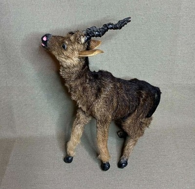 Vintage Miniature Taxidermy Twisted Horn Blackbuck Antelope REAL FUR Victorian