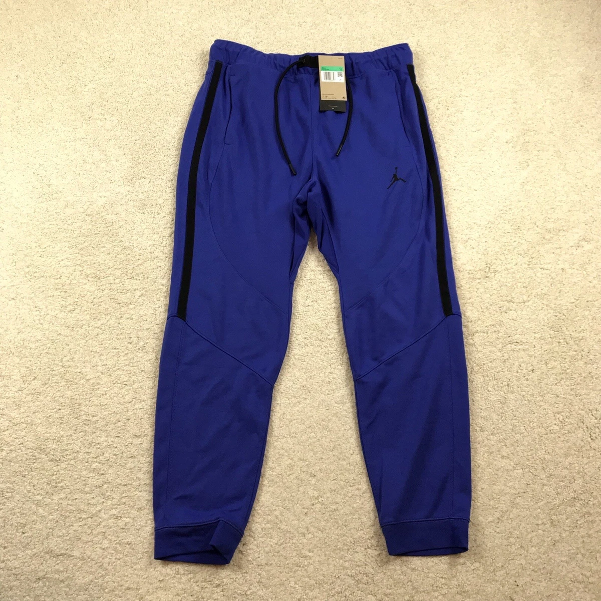 Air Jordan Dri Fit Joggers Pants Mens XL Purple Lapis DV9785 430